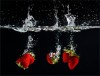 HONOUR.....Image of the Month.....Cecily Jones